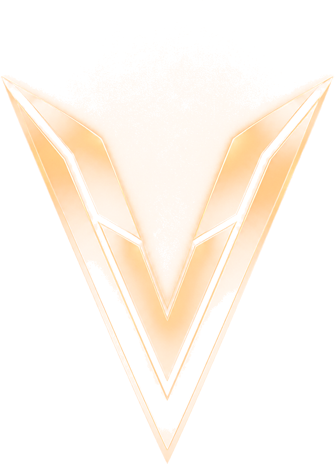 Логотип VIP VPN